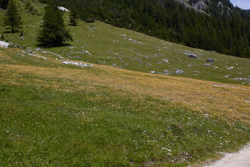 Datei:Lantschfeldtal-0111-2022-07-14.jpg