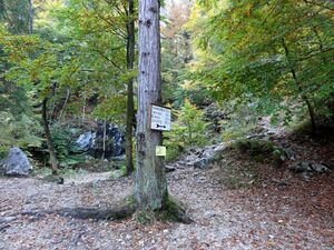 Beginn des Wanderweges durch die Burggrabenklamm.jpg