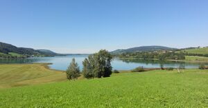 DSC04959.JPG