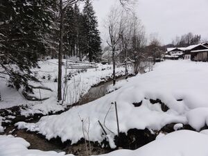 Müllnerbach in Thalgauegg.jpg