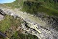 Steinkar weißpriach 29965 2016-07-10.jpg