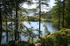 Wirpitschsee, untere-weißpriach 29625 2016-07-10.jpg