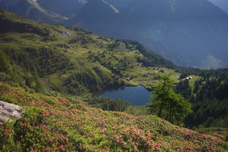 Datei:Wirpitschsee, untere-weißpriach 29632 2016-07-10.jpg