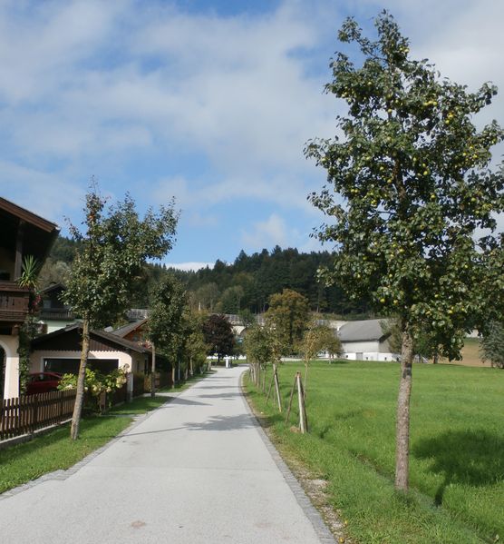 Datei:Birnenallee Herbst 2014.jpg