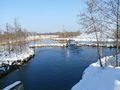 Fischachursprung beim Wallersee.JPG