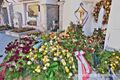 Ludwig Gishamer Grab Friedhof Neumarkt am Wallersee.jpg