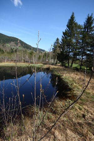 Mandlinger moor 69705 2018-04-18.jpg
