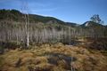 Mandlinger moor 69729 2018-04-18.jpg