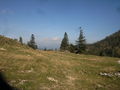 Genner, Hintersee 059.jpg