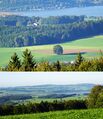 Gschirrnlinde fern und nah.jpg
