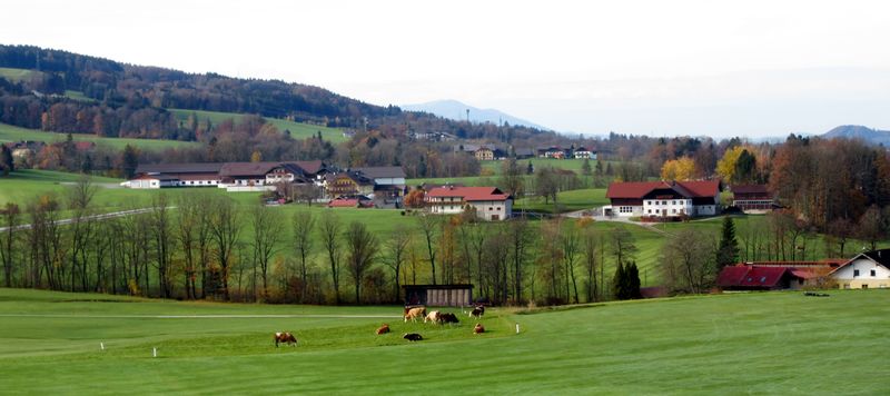 Datei:Neuhofen, Ansicht von Kraimoos.jpg
