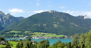 Vormauerstein mit St. Wolfgang.jpg