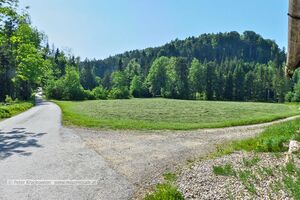 2023 05 31 Jägerwiese Steinbachtal Neumarkt 3.jpg