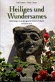 Buchtipp Heiliges und Wundersames.jpg