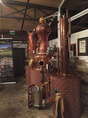 Mandlberger dachsteindestill 09803 2015-10-22.jpg