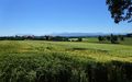 Rupertuskapelle bei Hohenbergham (Fridolfing), Aussicht.jpg