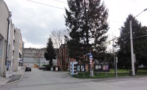 Wallnergasse.jpg