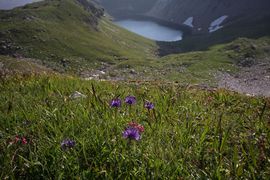 Wildsee obertauern 96452 2010-07-17.jpg