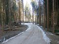 Errichtung eines Güterweges (Forststraße) für die Waldbewirtschaftung am Thalgauberg.jpg