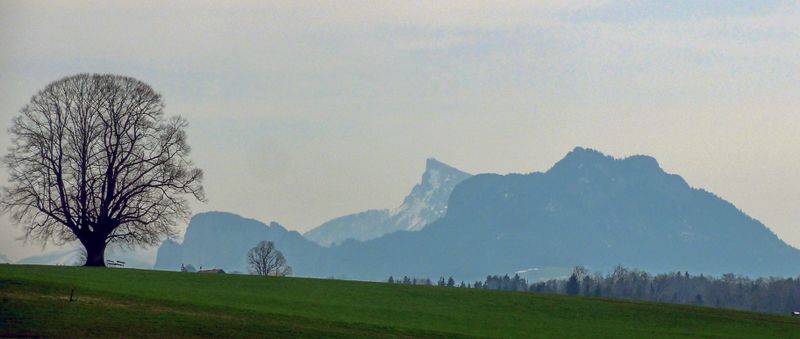Datei:Gschirnlinde einmal anders .jpg