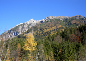 Kleinarl-Jägersee-8.png