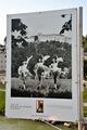 Befreiung und Neubeginn in Salzburg 1945 bis 1955 14.jpg