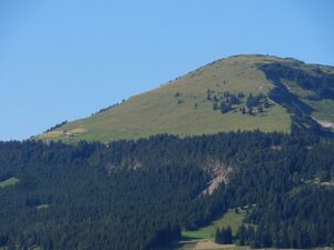 Blick zum Schlenkengipfel von St. Koloman aus.jpg