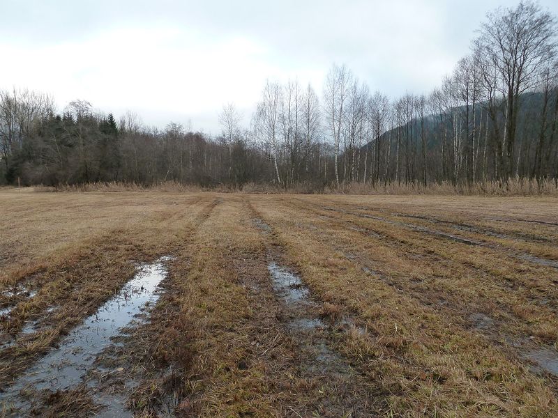 Datei:Kaprun Moor 6.jpg