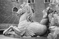 Residenzbrunnen Detail 1950.jpg