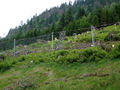 03Steinschlagnetz-Geobrugg 2005-02.JPG