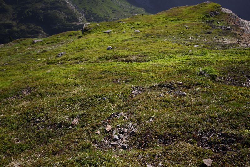 Datei:Bergtour poiskarl 26517 2016-06-24.jpg