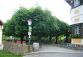 Gastgarten vom Braugasthof Sigl in Obertrum.jpg
