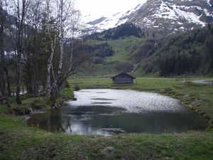 Käfertal Talschluss.jpg