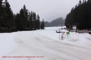 Loipenfoto 2011.jpg