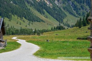 Seidlwinkltal Palfneralm 08.jpg