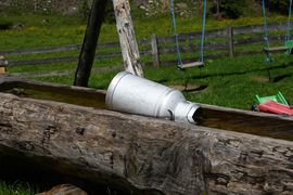 Vögeialm 27696 2016-06-23.jpg