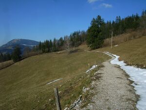 Wanderweg Fageralm-Höhenwald 025.jpg