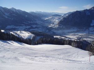 Hahnbaum03.jpg
