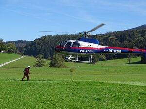 Waldbrandübung Flachgau 2018 06.jpg