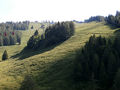Zwölferhorn, Gipfelhang.jpg