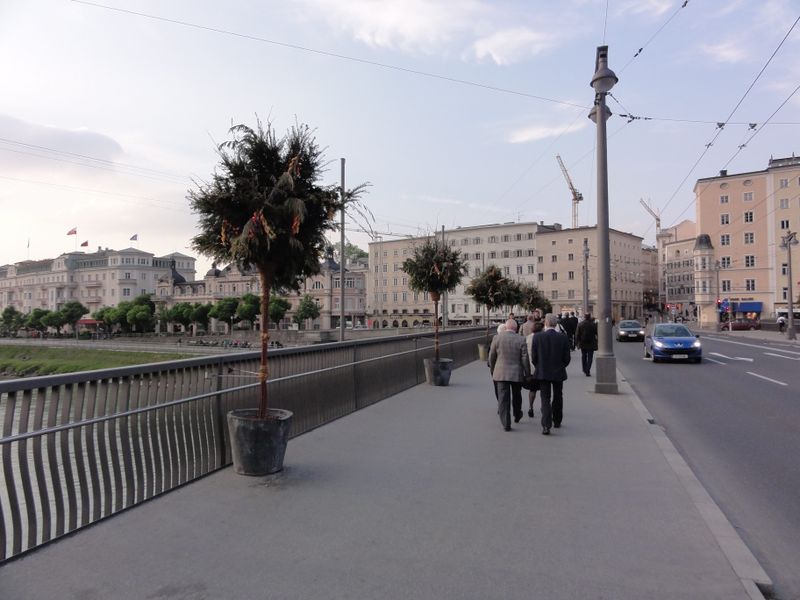 Datei:Staatsbrücke mit Palmbuschen.jpg