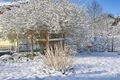 2021 04 06 Schneefall durch Tief Ulli.jpg
