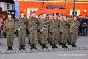 Angelobung 2015 in Neumarkt am Wallersee 60.jpg