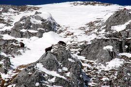Hochkönig100 0305.jpg