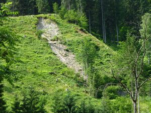 Plaike, Glemmtal.jpg