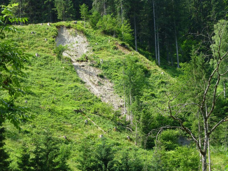 Datei:Plaike, Glemmtal.jpg