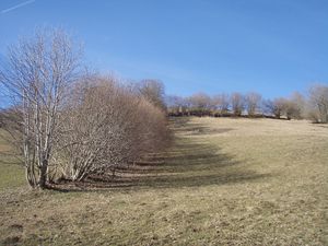 Wiesenrain in Eschenau.jpg