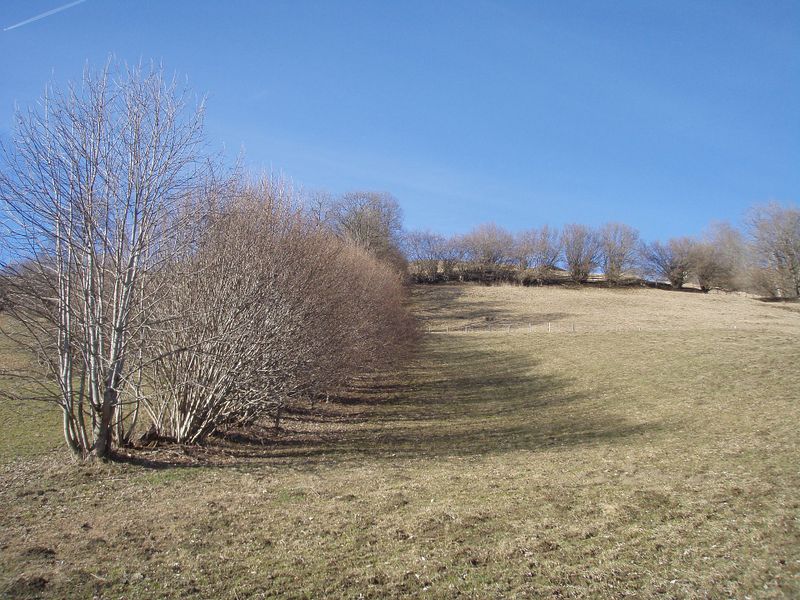Datei:Wiesenrain in Eschenau.jpg