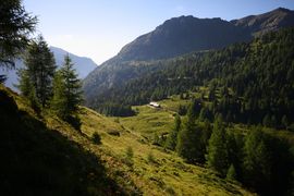 Wirpitschalm 29951 2016-07-10.jpg