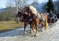 Vorschaubild der Version vom 12:48, 11. Feb. 2014